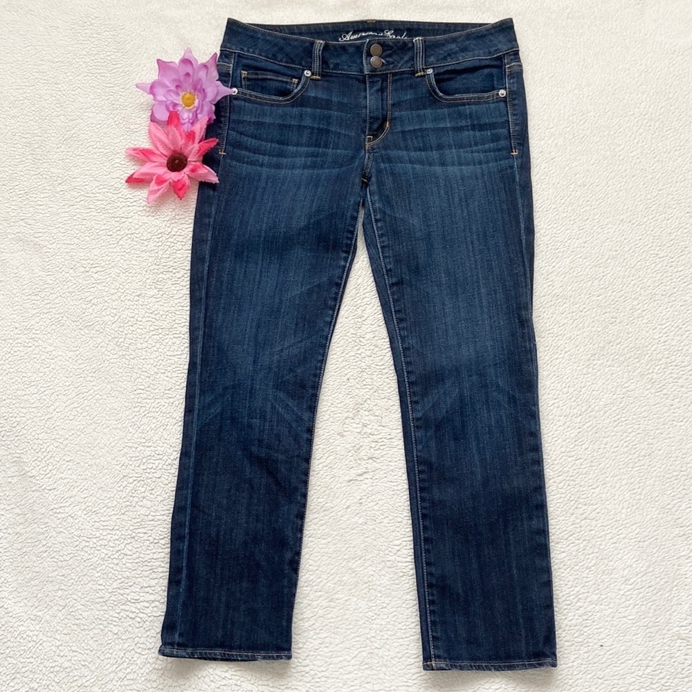 American Eagle Outfitters Artist Jeans